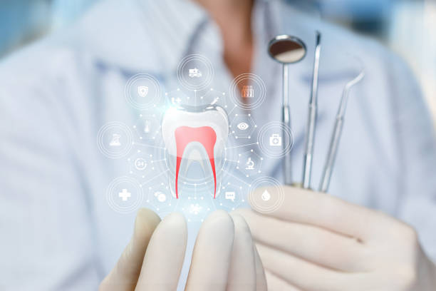 Best Emergency Dental Care  in Cannon Af, NM